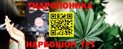 гашик Новодвинск