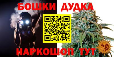 ешки Новозыбков