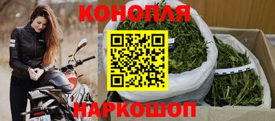 гашик Новодвинск